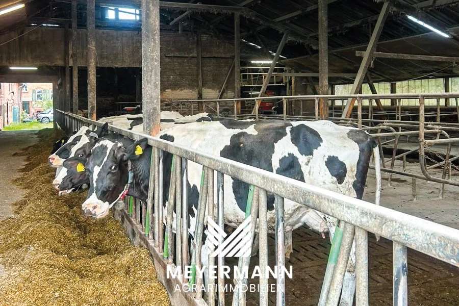 Modernisierter Milchviehbetrieb in Sachsen-Anhalt zu verkaufen - Bild 1