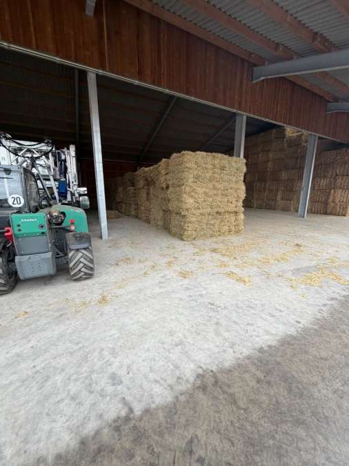 Heu in HD-Ballen, zu Bunden gepackt (14 Ballen je Bund) - Bild 1