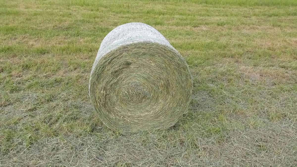 Heurundballen Heu Rundballen Heuballen Pferdeheu Schafe Rinder - Bild 1