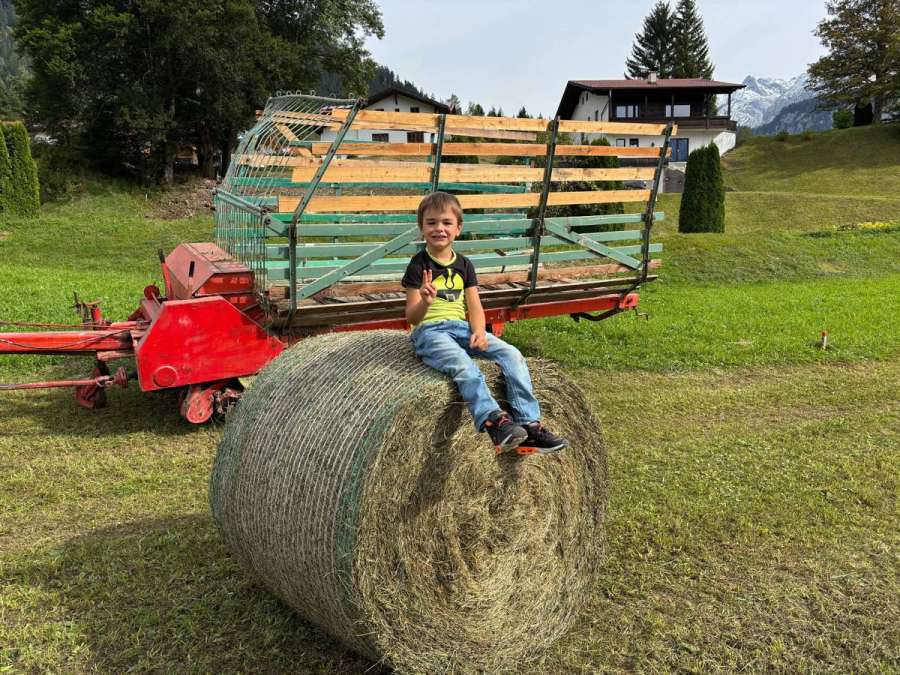 Heu-Rundballen Ø 120 cm zu verkaufen - Bild 1