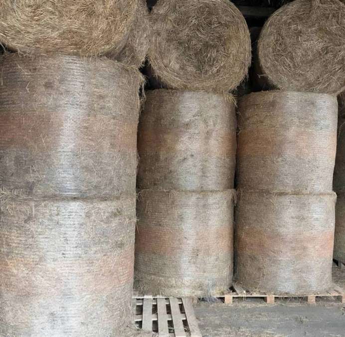 Heurundballen aus 2026 zu verkaufen - Bild 1