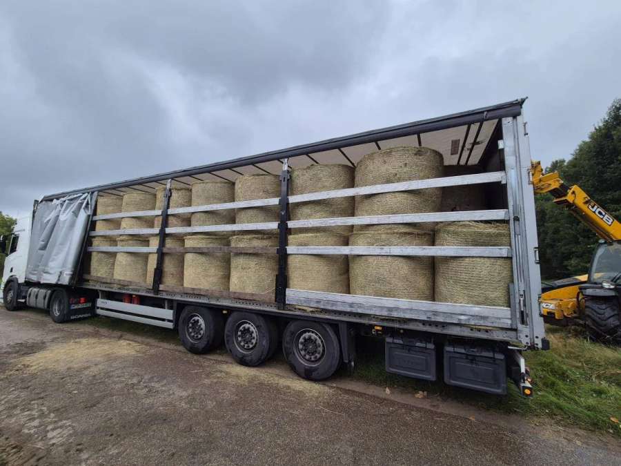 Heu in Rundballen von hervorragender Qualität - Bild 1