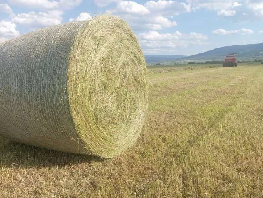 Heuballen zu verkaufen, Rumänien, 1. Qualität, 2026 - Bild 1