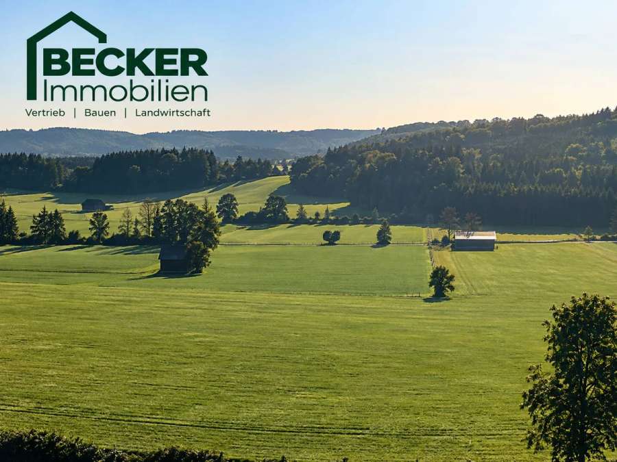 3,2ha Dauer Grünland Weideland Wiese mit Bachlauf und Hütte/Kuhstall/Pferdestall Ausgleichsfläche - Bild 1