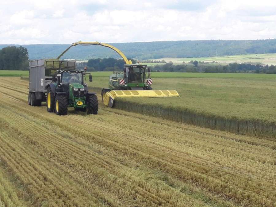 Direktschneidwerk Zürn Profi Cut 620 Schneidwerk Silphie-Kit