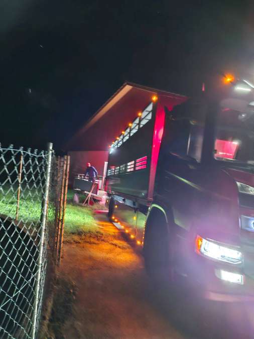 Transportunternehmen mit Langjähriger Erfahrung - Bild 1