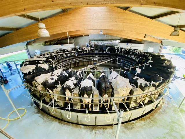 Herdswoman / Herdsman / Herdenmanager-Assistent für 900 Kühe, Bremervörde (m/w/d) - Bild 1