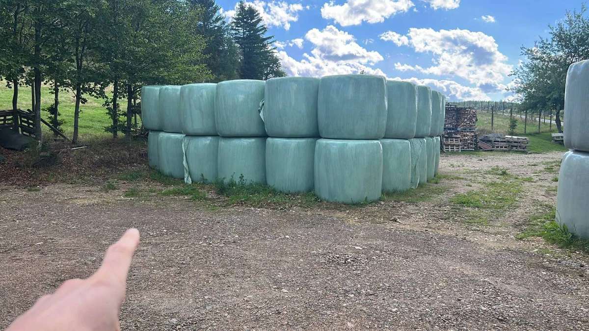 Verkaufe. 120 Silo-Rundballen vom zweiten Schnitt 2026 - Bild 1