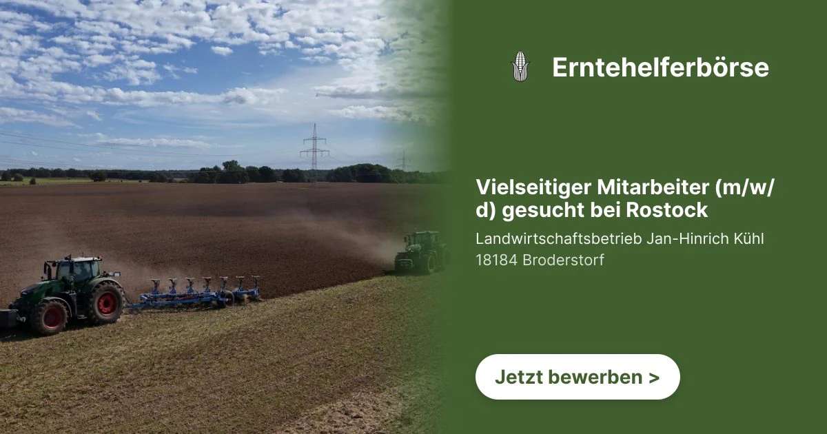 Vielseitiger Mitarbeiter (m/w/d) gesucht bei Rostock