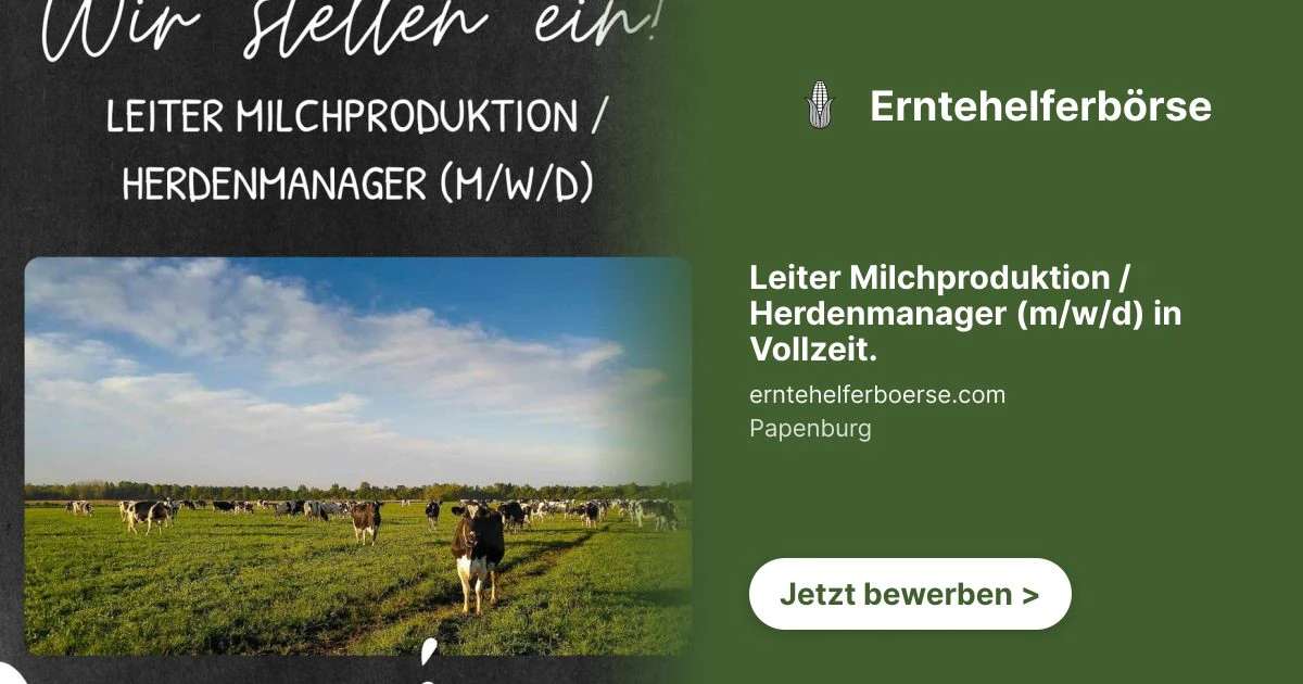 Leiter Milchproduktion / Herdenmanager (m/w/d) in Vollzeit. - Bild 1