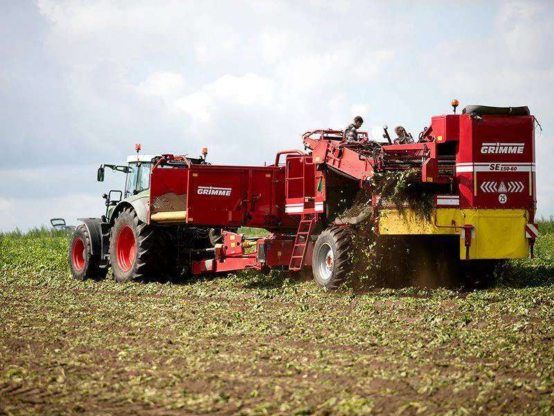 Betriebsleiter Ackerbau für 400 Hektar Pflanzkartoffelproduktion bei Rostock, Mecklenburg-Vorpommern - Bild 1
