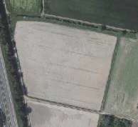Ackerfläche in Büttelborn (klein-Gerau) zu verkaufen / 25.064qm - Bild 1