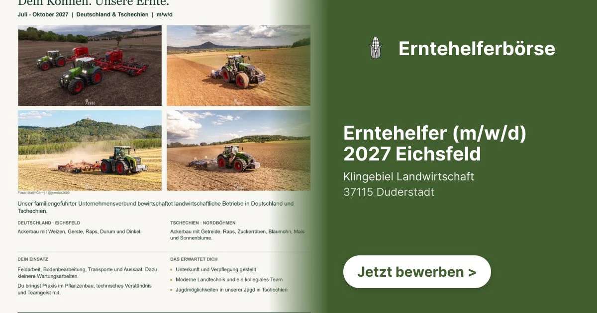 Erntehelfer (m/w/d) 2027 Eichsfeld - Bild 1