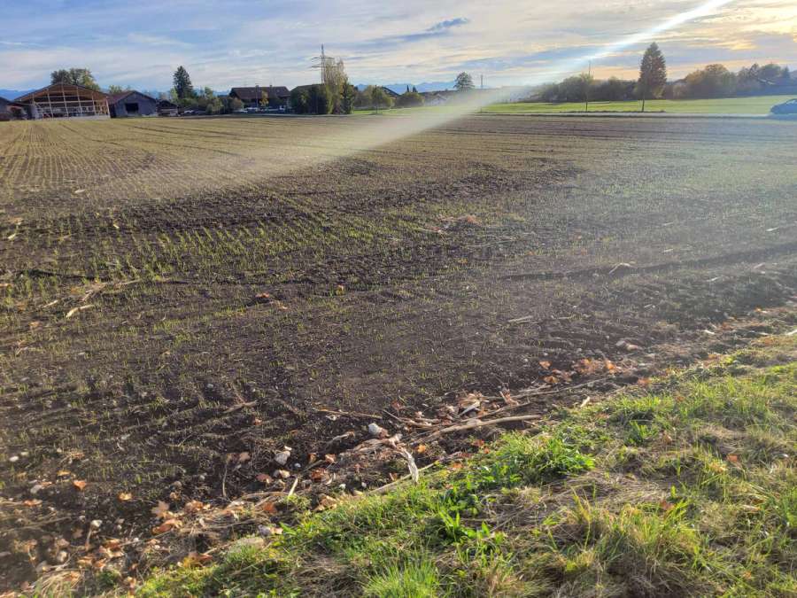 Wiese /Grünland mit 5876 qm zu verkaufen - Bild 1