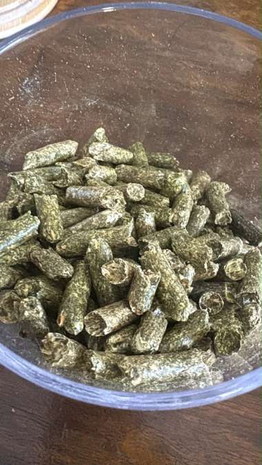 Luzernepellets 6 mm – 20-kg-Säcke und Big Bags - Bild 1