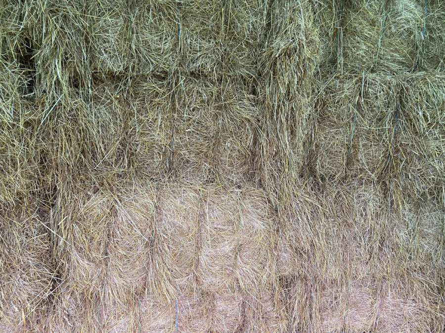 Große Heuballen, 1. Schnitt - Bild 1