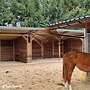 Stallbau - Außenbox | Pferdebox und Offenstall & Weidehütten, Laufstall für Pferde Top Futterraufe & Heuraufe für den perfekten Pferdehof - Bild 33