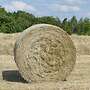 Neue Ernte 2023 - Pferdeheu / Heu - Rundballen - Bild 2