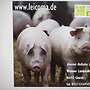 LEICOMA SCHWEINE & FERKEL - Bild 4