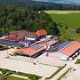 Pferdepfleger - Bild 2