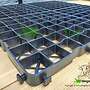 Paddockplatten kaufen & Rasengitter, Paddockgitter | Kiesgitter 9,40 EUR/m2 - Bild 3