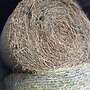 Verkaufe Bio-Wiesen-Heu - Bild 3