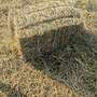 Heu erster Schnitt HD Ballen - Bild 4