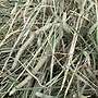 Hochwertiges Pferdeheu – ideal für Allergiker-/Rehe-/Sportpferde - Bild 8