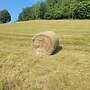 Heu Rundballen 1,25m - Bild 2