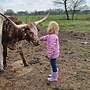 Texas Longhorn - Bild 21