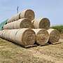 Heu, Pferdeheu, 1. Schnitt 2024,  Rundballen 1,6m  - Bild 4