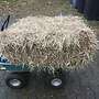 Heu 1. Schnitt 2024, kleine HD Ballen - Bild 2