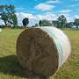 Bio Heu 1. SCHNITT 2024 1.30m und 1.60m  - Bild 2