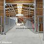 Pferdestall bauen & Aussenbox und Offenstall kaufen | Weidehütte, Pferdeunterstand Top Futterraufe, Heuraufe - Professionelle Stallplanung - Bild 43