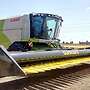 Das Sonnenblumenschneidwerke "Sunfloro Shaft" 6-9.2m - Bild 4