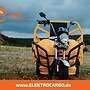 AMR Elektro Cargo 250 - www.ELEKTROCARGO.de - Piaggio Ape Änlich Elektro Dreirad Elektrisches Lastendreirad Mofa Kipper Pritsche TUK TUK Cargo Transporter - Bild 5