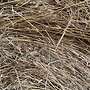Zuckerarme Bioland Zertifizierte Heu Rundballen 1ter Schnitt 2023 und 2022 mit Analyse - Bild 2
