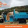 AMR Elektro Cargo 250 - www.ELEKTROCARGO.de - Piaggio Ape Änlich Elektro Dreirad Elektrisches Lastendreirad Mofa Kipper Pritsche TUK TUK Cargo Transporter - Bild 26