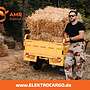 AMR Elektro Cargo 250 - www.ELEKTROCARGO.de - Piaggio Ape Änlich Elektro Dreirad Elektrisches Lastendreirad Mofa Kipper Pritsche TUK TUK Cargo Transporter - Bild 27