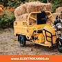 AMR Elektro Cargo 250 - www.ELEKTROCARGO.de - Piaggio Ape Änlich Elektro Dreirad Elektrisches Lastendreirad Mofa Kipper Pritsche TUK TUK Cargo Transporter - Bild 28
