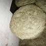 Bio Heuballen - Bild 3