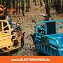AMR Elektro Cargo 250 - www.ELEKTROCARGO.de - Piaggio Ape Änlich Elektro Dreirad Elektrisches Lastendreirad Mofa Kipper Pritsche TUK TUK Cargo Transporter - Bild 39