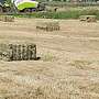 Top Heu! Quader - und Rundballen - Bild 2