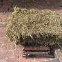 Heu kleine HD Ballen grössere mengen vorhanden - Bild 6