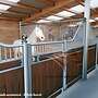 Pferdeboxfront aus Stahl - Hochwertige Frontsysteme für Pferdebox | Boxenfronten & Innenbox | Modulare Stallwände mit Fressgitter | Trennwände für Pferdestall - Bild 34