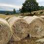 Heu Rundballen Quaderballen für Pferde Rinder Schafe mit Lieferung  - Bild 4