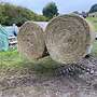 Heu Rundballen Quaderballen für Pferde Rinder Schafe mit Lieferung  - Bild 7