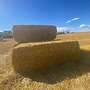 Heu - Stroh - Luzerne - Siloballen - Heulage BIO - Bild 7