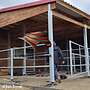 Aussenbox & Pferdestall bauen und Offenstall kaufen, Weidehütte & Pferdeunterstand | Pferdebox Top - Futterraufe & Heuraufe für Pferde - Bild 53