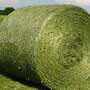 Heu - Siloballen - Stroh - Luzerne - Heusilage - Bild 5